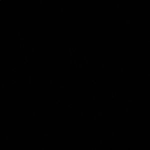 Meet your Posher, Destiny